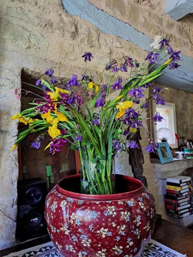 Le Moulin Des Cavaliers Bed & Breakfast La Rouquette Bagian luar foto